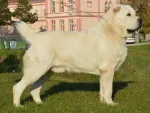 Slika 3