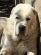 Slika 2