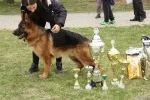 Slika 1