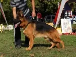 Slika 2