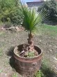Slika 3