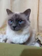 Slika 6