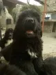 Slika 2