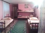 Slika 1