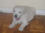 Slika 3