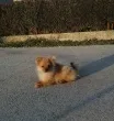 Slika 2