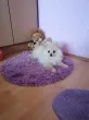 Slika 3