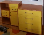 Slika 1