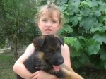 Slika 3
