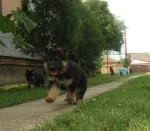 Slika 6