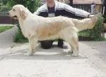Slika 6