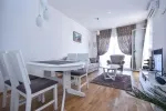 Slika 1