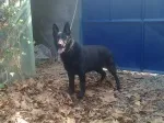 Slika 1