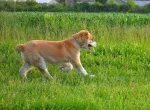 Slika 3