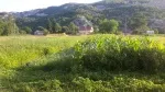 Slika 4