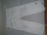 Slika 1