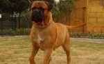 Slika 2