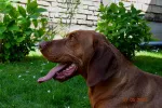 Slika 2