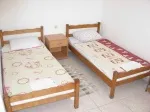 Slika 1