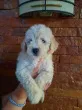Slika 2