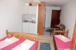 Slika 1