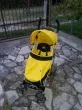 Slika 1