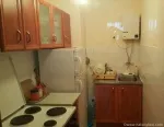 Slika 1
