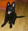 Slika 2