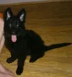 Slika 3