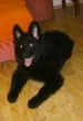 Slika 4