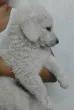 Slika 3
