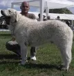 Slika 6