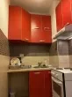 Slika 1