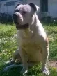 Slika 6