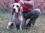 Slika 1