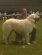 Slika 3