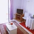 Slika 1
