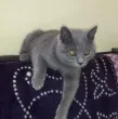Slika 3