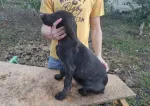 Slika 2