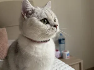 Slika 3