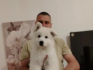 Slika 3