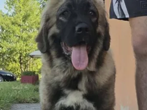 Slika 3