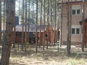 Slika 6