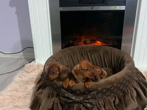 Slika 3