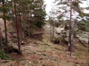 Slika 2