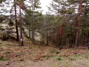 Slika 1