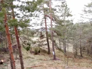 Slika 3