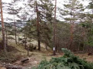 Slika 6