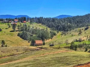 Slika 3