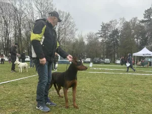 Slika 4